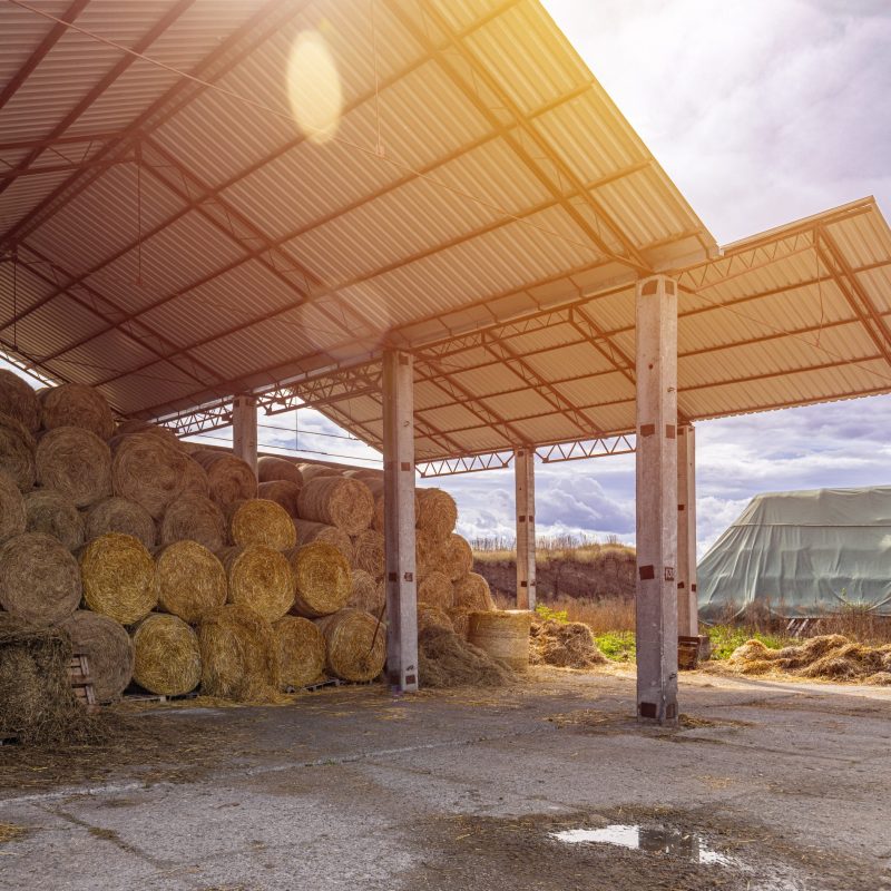 Hay barn with stacked straw bales in a cattle farm. Farmyard storage concept